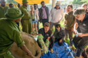 Minister Hon Najib Balala (Ministry of Tourism and Wildlife, Kenia) wohnt der Prozedur bei Foto: Ami Vitale
