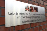 Leibniz-IZW| Foto: Steven Seet