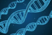 DNA, Author: pixabay.com