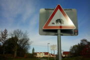 Foto: Milena Stillfried/IZW