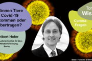 Grafik: Leibniz-Gemeinschaft, Bilder: FU Berlin & NIAID-RML (CC BY 2.0)